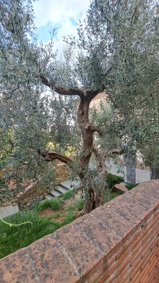 Casina Di Alice Apartment Vinci Luaran gambar